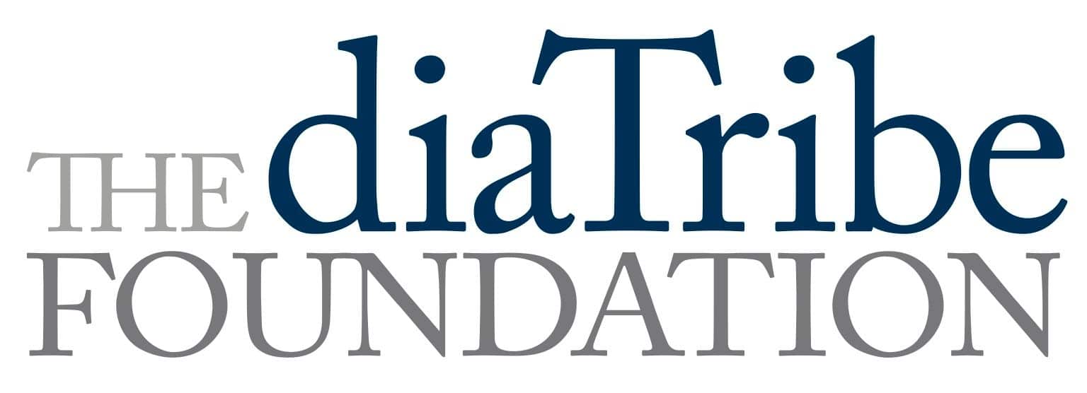 dT Foundation Logo White